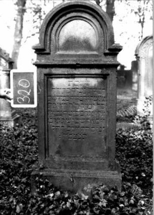 Grabstein 320 (Index: 100111978) Material: Sandstein Zustand: leicht verwittert Maße HxBxT: 137x59x30 cm Beschreibung: Stele, profilierter Sockel, eingezogener Rundbogenabschluß, rechteckiges Schriftfeld eingetieft: Grabstein 320
