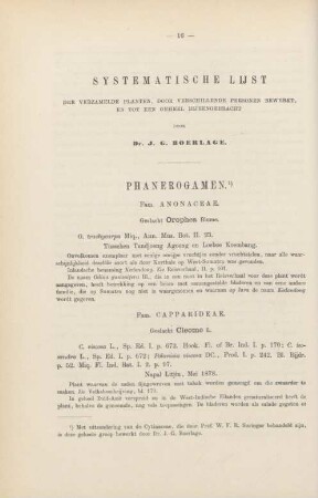 Phanerogamen