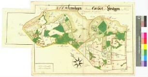 [Jarmshagen, Kronhorst (Kronhorst -Holländerei-) Amt/Distrikt Greifswald, Levenhagen Amt/Distrikt Eldena] Jarmshagen Hollenderie Cronshorst Gripswalds Destrict Lebenhagen Ampt Eldenow