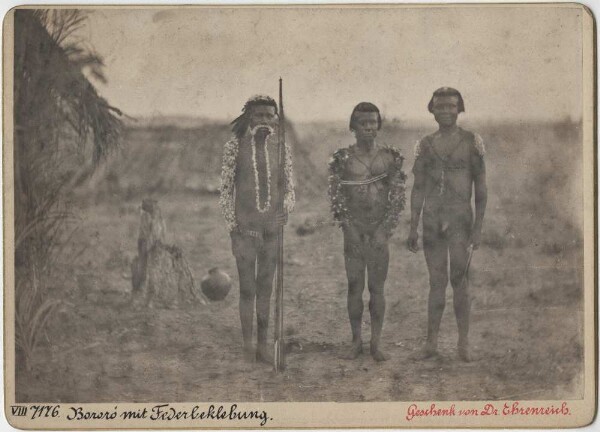 Bororo Indians with feather plumage