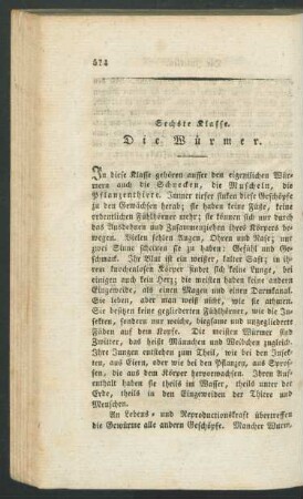 Sechste Klasse. Die Wuermer.