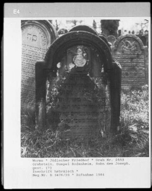 Grabstein des Gumpel Bodenheim, Sohn des Joseph