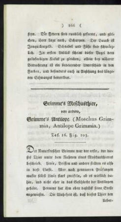 Taf. 16. Fig. 103. Grimme's Moschusthier, von andern, Grimme's Antilope Fig. 104. Der Kahau [Affe] Fig. 105. Der Moloch [Affe]