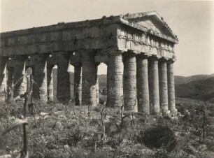 Segesta. Griechischer Tempel