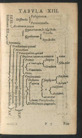 Tabula XIII.