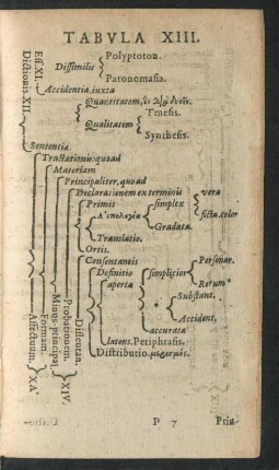 Tabula XIII.