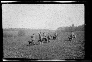 Nicht identifizierbare Gegend in Nordfrankreich oder Belgien: Mitglieder einer Hundestaffel auf einem Feld (Rückansicht, Distanzaufnahme)