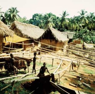Axim (Ghana) : Bei Axim (Ghana). 1959