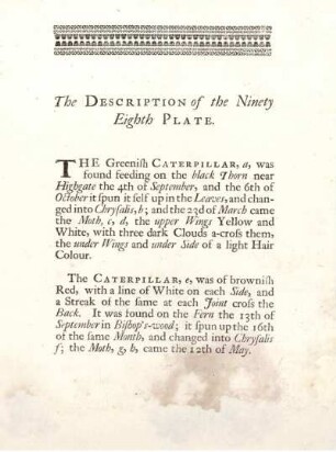 The Description of the Ninety Eighth Plate