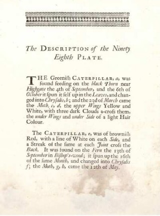 The Description of the Ninety Eighth Plate