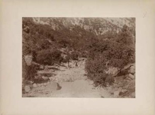 Bewaldetes Tal : Bewaldetes Tal im "Puschti-Kuh" mit zwei Reitern in einem ausgetrockneten Flussbett.