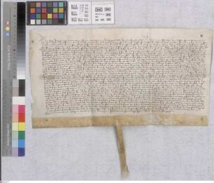 Riedhäuser Hof: Abtei Eberbach verpchtet halben Hof Riedhausen