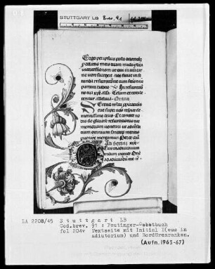 Gebetbuch des Konrad Peutinger — Initiale D(eus in adiutorium) mit anschließender Blumenranke, Folio 204verso