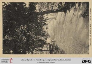 Pozzuoli – La Solfatara – Viale d’ingresso
