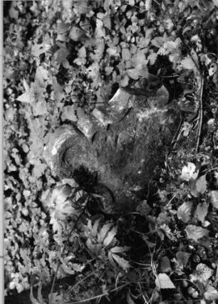 Grabstein 1122