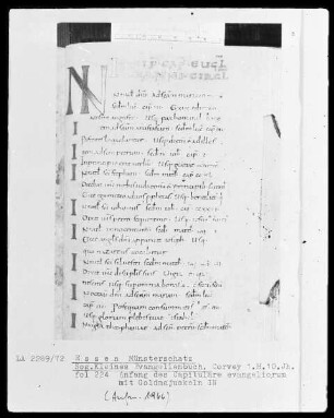 Kleines Evangeliar, fol 224 r