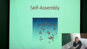 Modeling through self-assembly