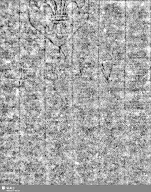 Lilienschild + IESV / LW = S.5/6