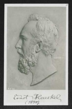 Ernst Haeckel 1980.