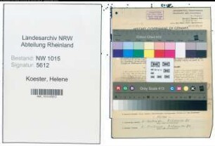 Entnazifizierung Helene Koester , geb. 27.04.1882 (Kauffrau)
