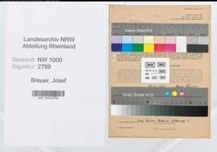 Entnazifizierung Josef Breuer, geb. 28.01.1900 ()