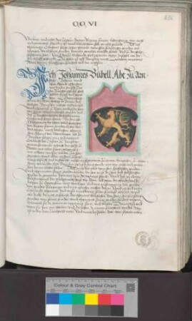 Abt Johannes Bühl zu Arnstein