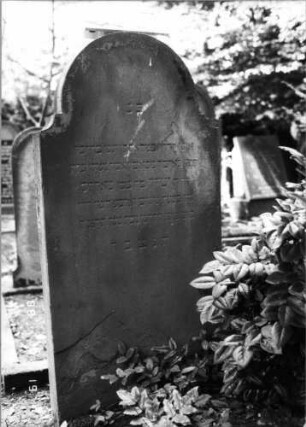 Grabstein 247 (Index: 100094476) Material: Sandstein Zustand: abgeblättert, Textverlust, längs gesprunge Maße HxBxT: 160x75x15 cm Beschreibung: Stele, doppelt eingezogener Rundbogenabschluß: Grabstein 247