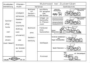 Mulchsaat bei Zuckerrüben