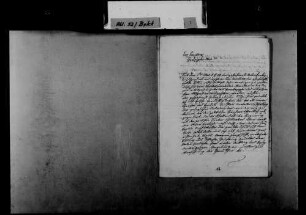 Johann Baptist Uhlmann, Meersburg, an Johann Baptist Bekk: Bitte um Amnestie, 02.10.1848, 2 Blatt.