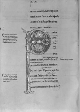 Glossar zu den Paulusbriefen / S. Pauli Epistolæ, cum glossa — Initial P, Folio fol. 179 r