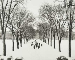 Keuka College (Viewbook)