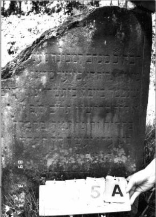 Grabstein 235 (Index: 99791580) Material: Sandstein Zustand: verwittert mit Textverlust, Teil der Stele unter Textverlust weggebrochen Maße HxBxT: 91x60x12 cm Beschreibung: Stele, Schriftfeld eingetieft: Grabstein 235A