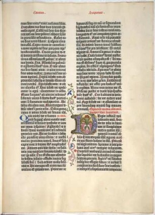 Sapientiae / Weisheit / Wisdom / Sagesse