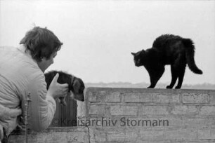 Schwarze Katze auf Mauer: links Mann mit Hund