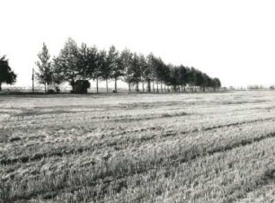 Wilsdruffer Pflege. Stoppelfeld und Straße von Podemus nach Unkersdorf. Blick von Nordosten