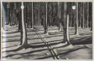 Winterlandschaft