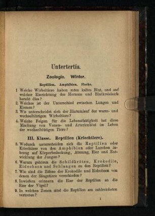 Untertertia