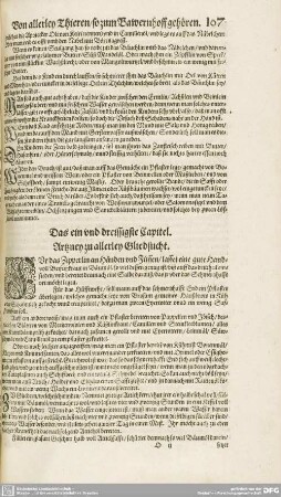 Das ein vnd dreissigste Capitel. Das zwey vnd dreissigste Capitel.