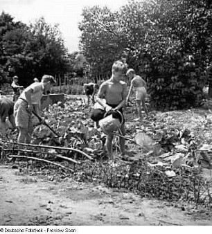 3. Schule. Schüler bei der Arbeit im Schulgarten