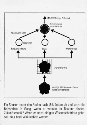 Ein Sensor tastet den Boden nach Unkräutern ab und setzt die Feldspritze in Gang, wenn er welche im Bestand findet.