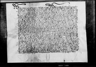 Schultheiß und Richter zu Hirschau sprechen Recht auf Klage des Augustinerpriors zu Tübingen wegen versessener Weingült zu Hirschau (Wr 13 520).