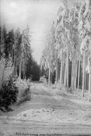 Raureif am Auerhahnweg
