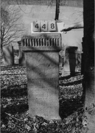 Grabstein 448
