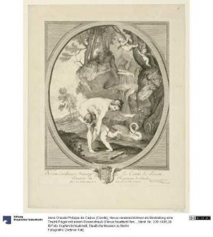 Venus verabreicht Amor als Bestrafung eine Tracht Prügel mit einem Rosenstrauß (Vénus fouettant l'Amour)
