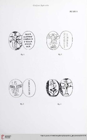 Plate 1-41