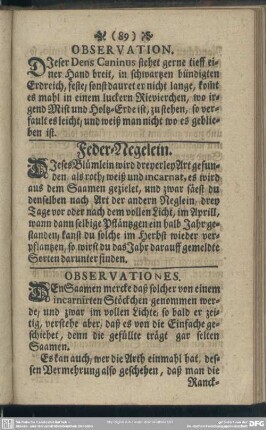 Feder-Negelein