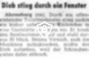 Dieb stieg durch ein Fenster