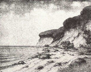 Bewaldete Steilküste