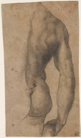 David (Kopie nach Michelangelo), Oberkörper von hinten