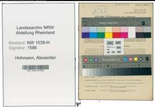 Entnazifizierung Alexander Hohmann , geb. 21.07.1917 (Kaufmann)